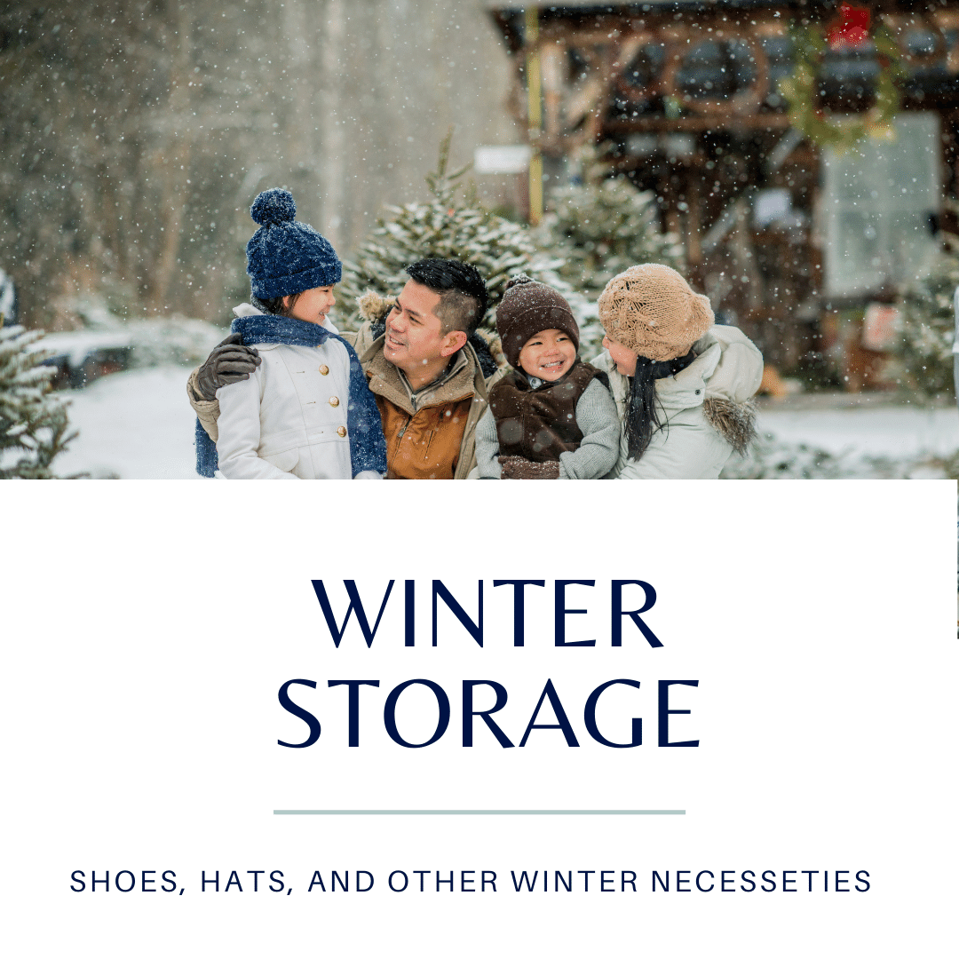 blog post graphic for Winter Storage tips